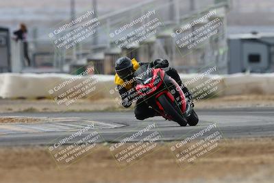 media/Mar-02-2025-Race Pace (Sun) [[8bec80ae00]]/12-Vested (Turn 2) 1111am/